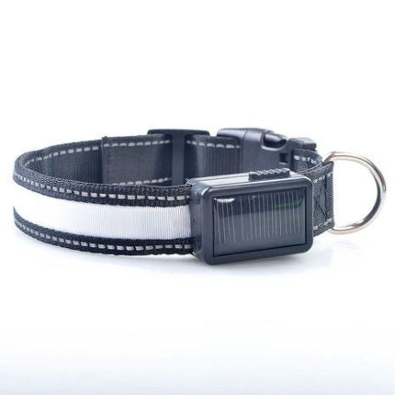 LED-Solar-Leuchthalsband für Hunde